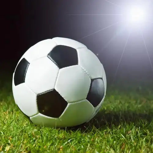 捷报比分数据版帮助中心界面